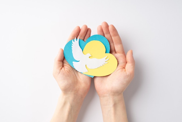 Stop the war in Ukraine concept Top overhead view photo of girl's hands holding yellow blue hearts and white pigeon silhouette on palms on isolated white background