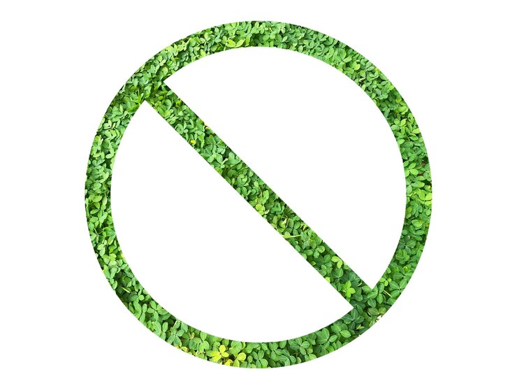 Foto stopsymbool gemaakt van groen gras of bladeren die op een doorzichtige achtergrond zijn geïsoleerd