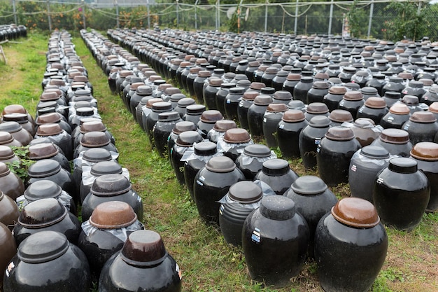 Storage of Vinegar in Barrel