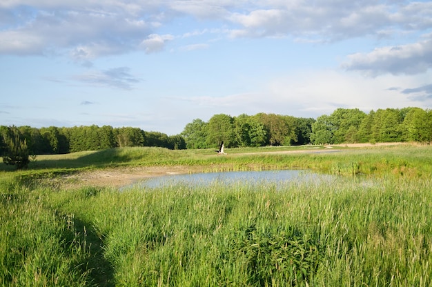 Stork flying over a meadow and a pond Big bird that comes to Germany in spring