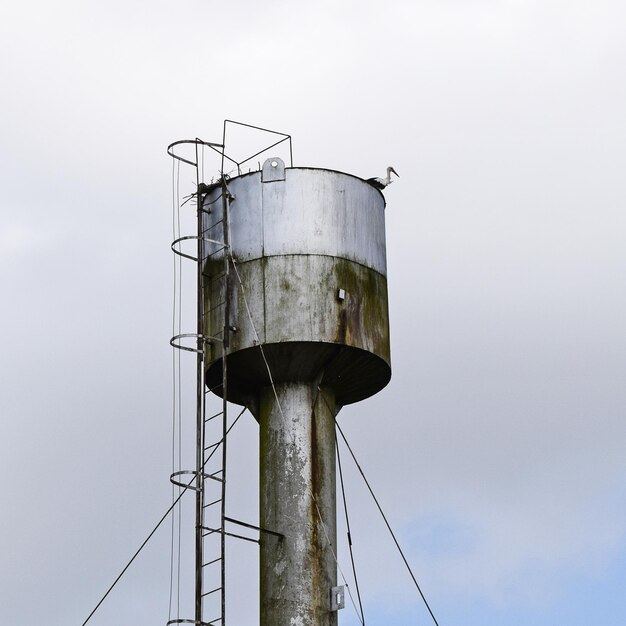 Photo stork on a roof of the water tower