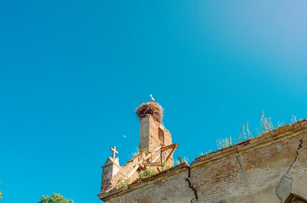 Stork's nest on top of a ruined stone castle medieval architecture life concept closeup view