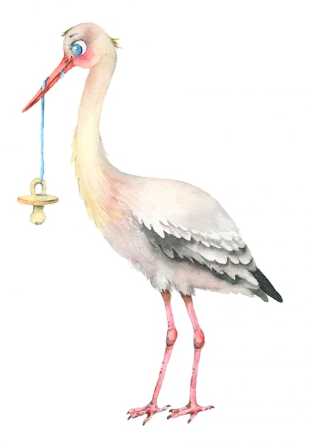 Photo stork with baby pacifier. watercolor illustration