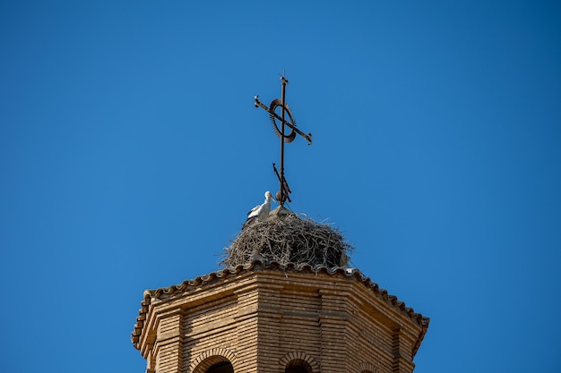 Storkennest op de kerktoren tegen een blauwe lucht met vogels