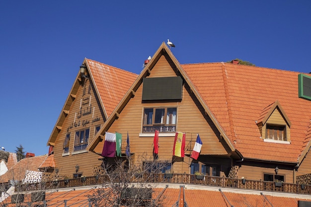 Storks in Ifrane, swiss style village Morocco