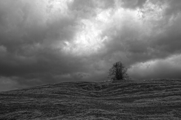 Photo storm clouds over landscape