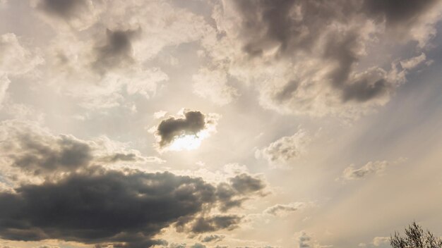 木々にかかる嵐の雲