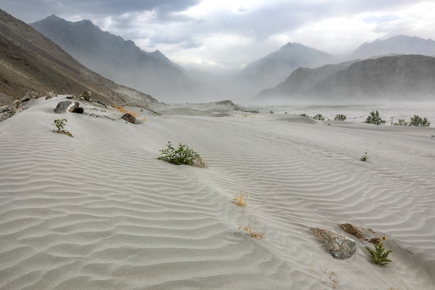 Storm in desert sand dunes