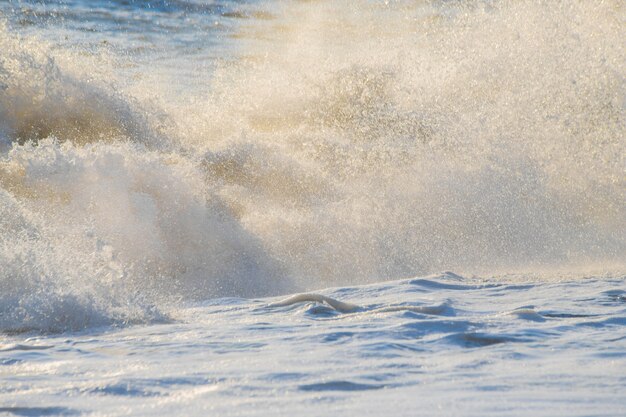 Tempesta sul mare nei raggi delle grandi onde del tramonto, spray.