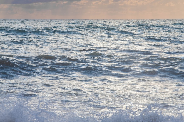 日没の大きな波の光線で海に嵐、スプレー。
