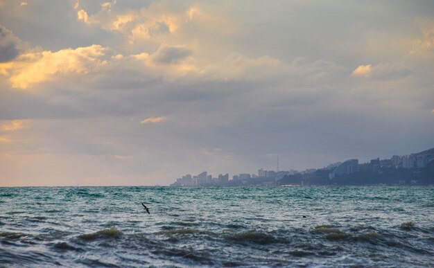 Storm on the sea in the rays of sunset big waves, spray.