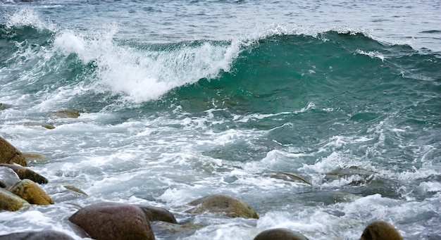 Storm wave on the coast of the Arctic