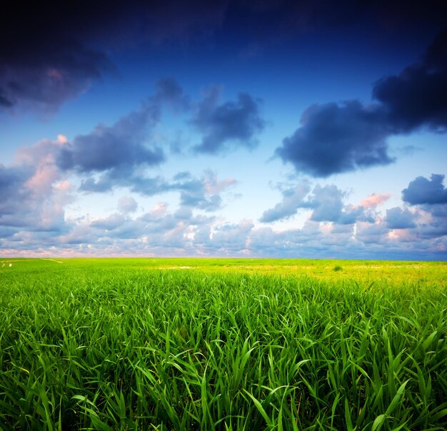 Stormachtig zomerlandschap