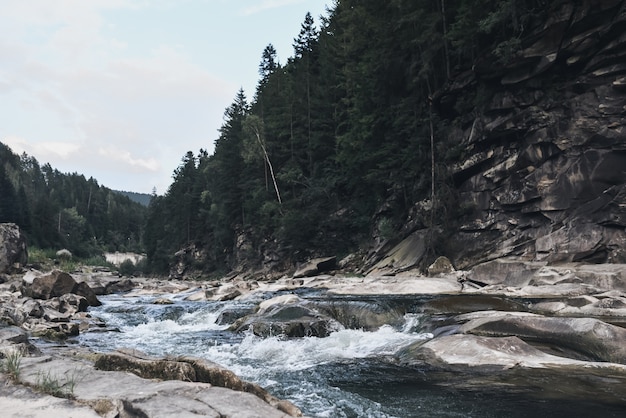 Stormachtige kristalheldere rivier in de rotsachtige Karpaten