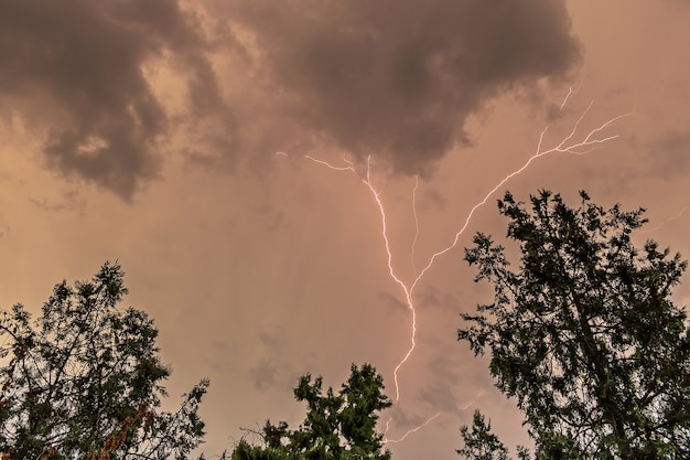 Foto stormachtige ochtend