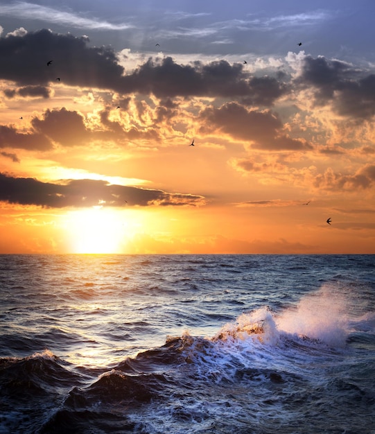 Stormachtige zee met zonsondergang en vogels prachtig weer