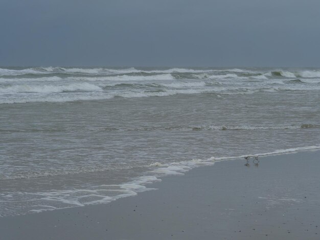 stormy day at the sea