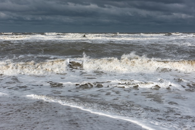 Stormy foamy sea, big waves