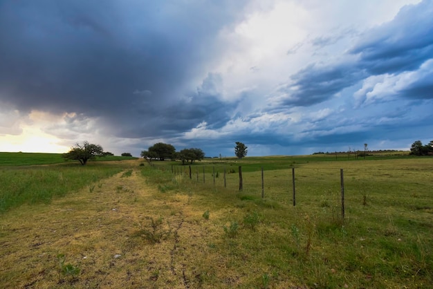 Photo stormy sky due to rain in the argentine countryside la pampa province patagonia argentina