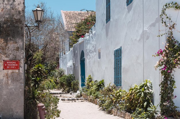 straat met bloemen en bloempotten Gore Island Senegal