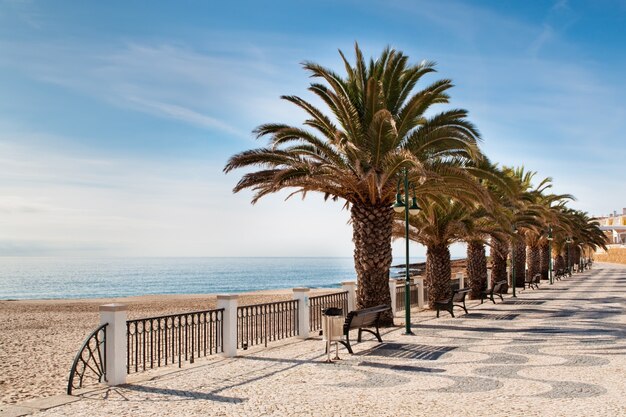 Straat op het strand met palmbomen