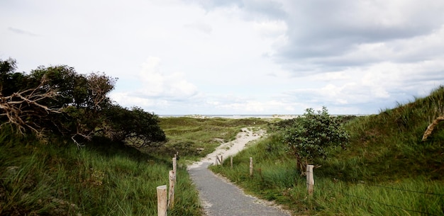 Foto straat te midden van grasveld tegen bewolkte lucht