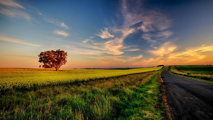 Foto straat te midden van grasveld tegen de lucht