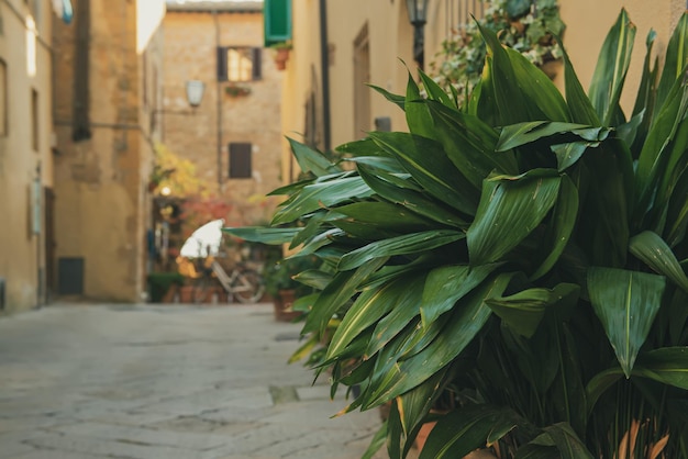 Straat van Pienza