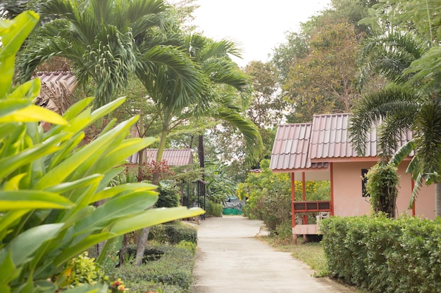 Straat van tropisch bungalowhotel met vakantieplaats voor palmbomen