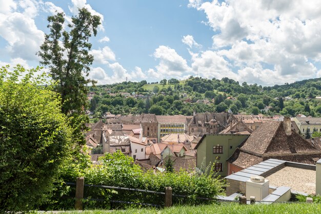 Straatmening in Sighisoara, middeleeuwse stad van Transsylvanië, Roemenië ?.