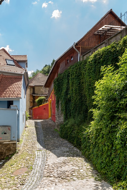 Straatmening in Sighisoara, middeleeuwse stad van Transsylvanië, Roemenië ?.