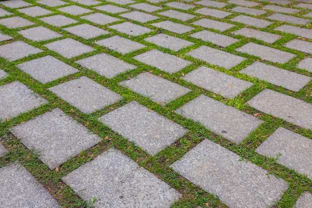 Straatsteen en groen gras in Thailand