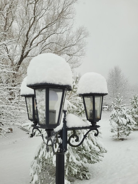 Foto straatverlichting in de sneeuw