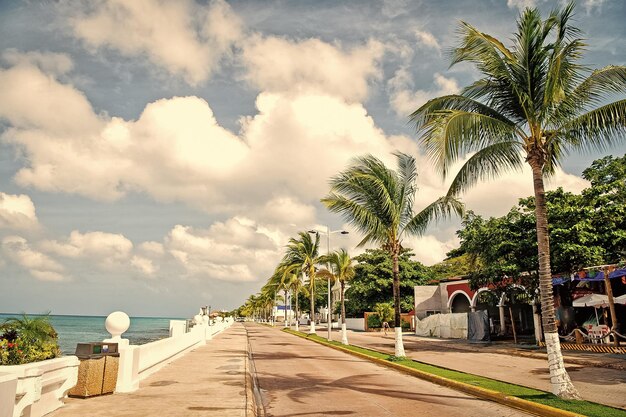 Straatweg met waterkant in de buurt van groene palmbomen Cozumel Mexico