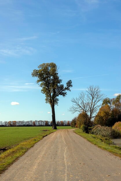 A straight highway without cars