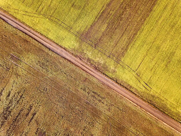 Straight narrow ground road between sunny green and brown fields