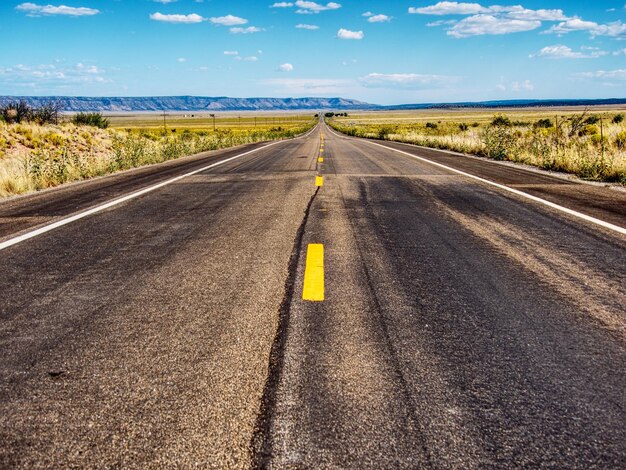 写真 土地を通るまっすぐな道路