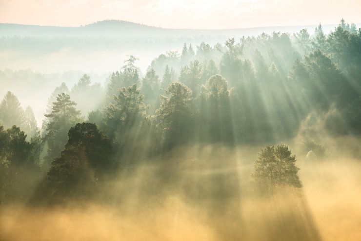 Stralen van de zon die door de mist breekt
