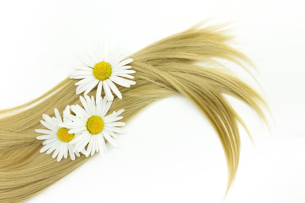 Strand of blond hair with chamomile flower on white Curls of hair Wavy long curly hair Hair extensions materials and cosmetics care wig