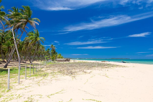 Strand en tropische overzees