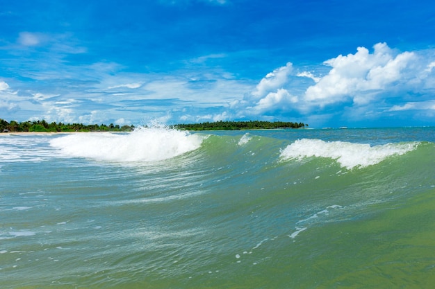 Strand en tropische overzees