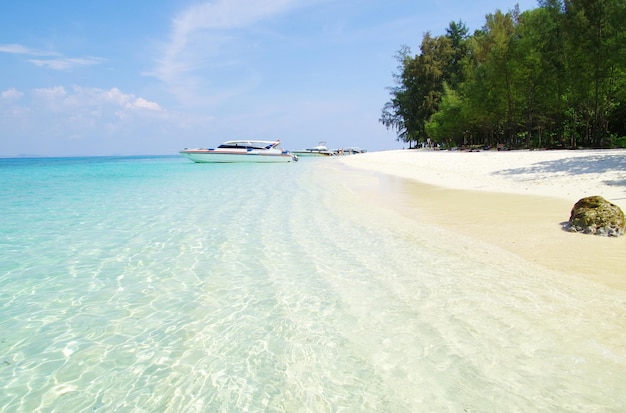 Strand en tropische overzees