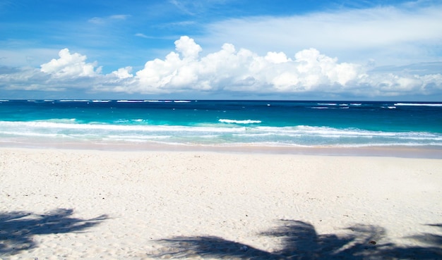 Strand en tropische overzees