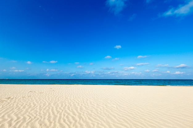 Strand en tropische zee