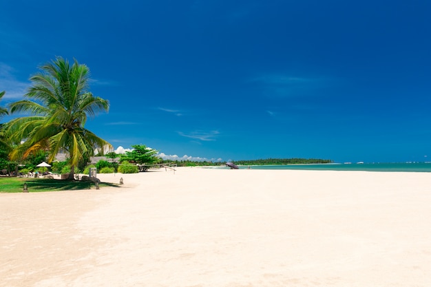 Strand en tropische zee