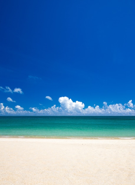 Strand en tropische zee