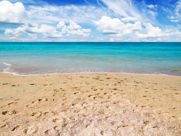 Strand en tropische zee