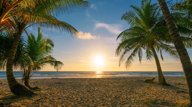 Strand herfstvakanties concept achtergrond Natuur frame met kokospalmen op het strand met zonlicht flare prachtige zonsondergang of zonsopgang landschap achtergrond.