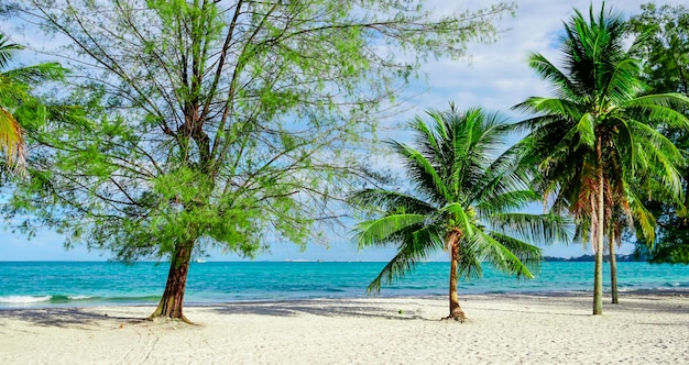 Strand in Sihanoukville Palmbomen en blauwe zee