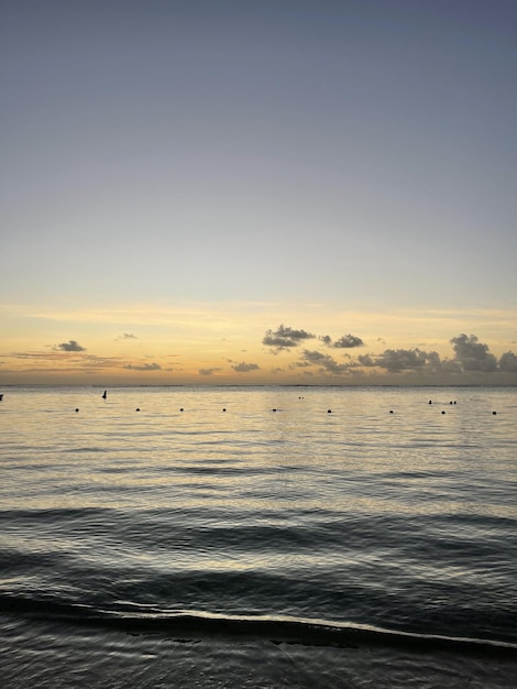 Strand landschap